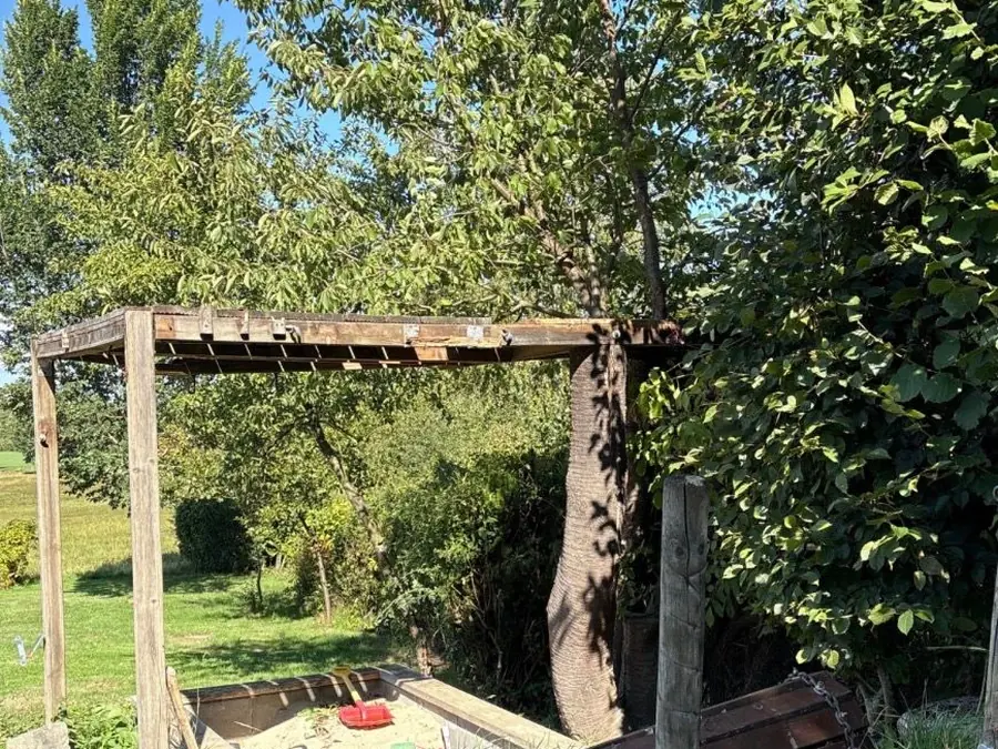 Außenanlage vor der Räumung mit morscher Pergola und Bauholz im Gras